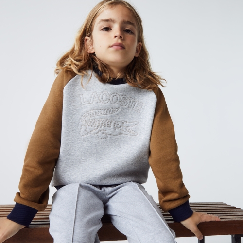 Boys' Lacoste Branded Color-Block Sweatshirt